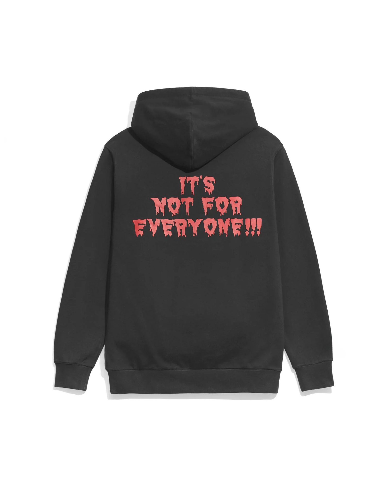 ECWOGLogoWashedBlackHoodieBack