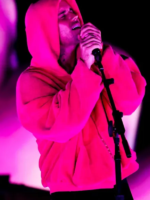 Justin Bieber Coachella Hoodie - Image 3