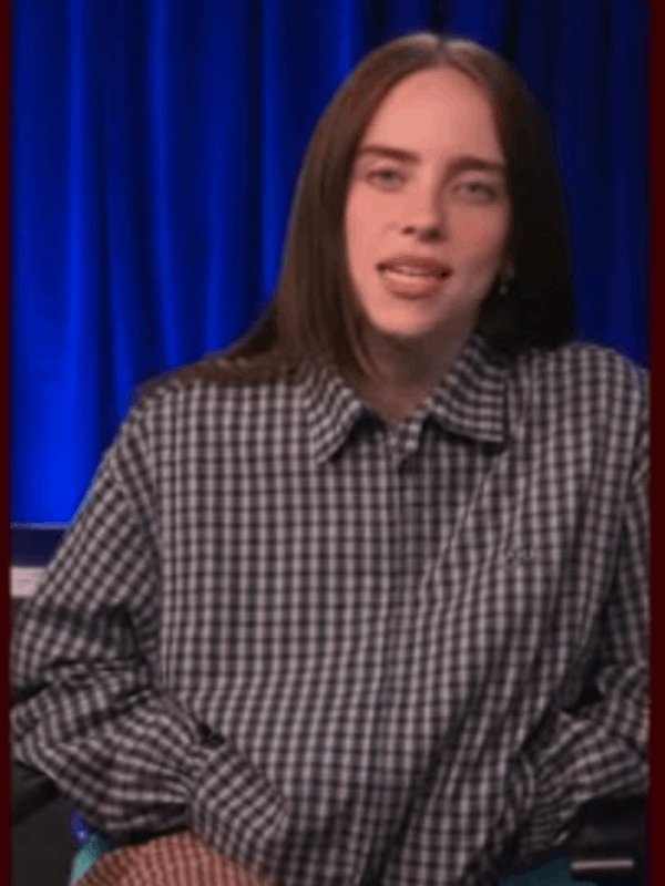 Billie Eilish Hit Me Hard And Soft Plaid Zipup Jacket