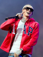 Central-Cee-Coachella-Hoodie-Cap.webp