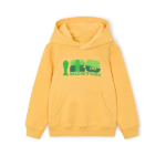 FIFA-World-Cup-2026-Boston-Hoodie.webp