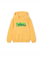 FIFA-World-Cup-2026-Boston-Hoodie.webp