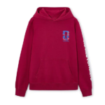 FIFA-World-Cup-Toronto-hoodie.webp