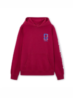 FIFA-World-Cup-Toronto-hoodie.webp