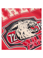AVIREX-WILDCAT-72-75-WILD-CAT-VARSITY-JACKET.webp