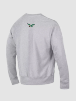 Disney-2026-Champion-Philadelphia-Eagles-Doctor-Doom-Sweatshirt-510x680