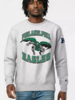 Grey-2026-Disney-x-Champion-Eagles-Doctor-Doom-Sweatshirt-510x680